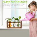 Plant Propagation Station Plant Terrarium Unique Birthday Gifts for Women Plant Lovers Home Office Decor Planter with Wooden Stand - 3 Bulb Glass Vase by GreenHaven Gardens