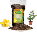 Premium Carambola Potting Soil Mix - Perfect Balance of Nutrients, Drainage, and Aeration for Thriving Starfruit Trees - 2 Quart by GreenHaven Gardens