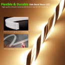 SLN01 Dotless COB Neon LED 16.4FT (5M) Strip Light DC24V 40-60W IP67 4x10mm, 10x10mm, 6x12mm Outdoor Rated Dimmable Low Voltage Silicone Strip Light