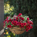 4 Pack 14 Inch Hanging Flower Baskets for Outdoor Plants Large Metal Wire Planters with Coco Liner Pot for Home Planting Black Watering Plant Holders for Outside Garden by GreenHaven Gardens