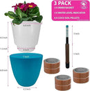 GARDENIX DECOR Self Watering Pots for Indoor Plants 3 Pack - Flower Pot with Water Level Indicator for Plants, Grow Tracking Tool - Self Watering Planter Plant Pot - Coco Coir - Teal by GreenHaven Gardens