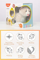 CU-MATE Interactive Pet Ragdoll Cat,Electric Plush Toy Cat,Robot Stuffed Cat with Walking/Nodding/Tail Wagging/Barking/Drinking Milk, Gift for Girls Boys by TinyTreasures Baby Boutique