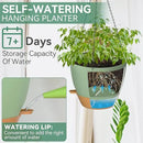 ZMTECH 12 Inch Hanging Planters for Indoor Outdoor Plants, 1 Pack Self Watering Hanging Plant Pots with Drainage Holes and Removable Saucer, Plastic Flower Hanging Pots with Watering Lip (Green) by CozyNest Decor