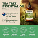 KUKKA essential oils 100% Pure & Natural Tea Tree Oil for Skin, Hair, Toenails, Aromatherapy, & Soap Making Scent (4 fl oz/118 ml) by CozyNest Decor