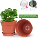 Homenote Pots for Plants, 15 Pack 6 Inch Plastic Planters with Multiple Drainage Holes and Tray - Plant Pots for All Home Garden Flowers Succulents (Terra Cotta) by GreenHaven Gardens