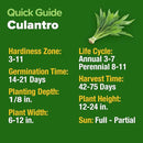 HOME GROWN Culantro Seeds - 720+ 𝗡𝗢𝗡-𝗚𝗠𝗢, 𝗨𝗦𝗔-𝗦𝗢𝗨𝗥𝗖𝗘𝗗 Heirloom Herb Seeds for Planting, Slow-Bolting, Flavorful Cilantro Alternative, Great for Outdoor Herb Gardens (Eryngium foetidum) by GreenHaven Gardens