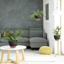 Hanging Planters for Indoor Outdoor Plants, 2 Pack Self Watering Hanging Pot with Drainage Holes & Removable Tray (Black, 10'') by CozyNest Decor