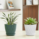 FaithLand 6-Pack 6-Inch Plastic Plant Pots with Saucers | Thickened PP Material, Modern Wave Texture, Enhanced Drainage for Indoor/Outdoor Garden Plants | Tricolor Value Set by GreenHaven Gardens