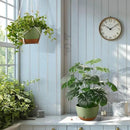 10 Inch Hanging Planters for Indoor Plants,Set of 2 Hanging Pots for Plants with Self-Watering, Outdoor Hanging Plant Pot with Drainage and 2 Kinds of Hanging Baskets Hangers for Home Decor and Garden by GreenHaven Gardens