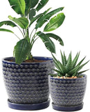 Plant Pots, Flower Pots, Planters for Indoor Plants(6.5+5.5inch), Flower Pots for Indoor Plants with Drainage Hole and Saucer, Ceramic Pots for Plants with Hole Mesh Pad,Reactive Glaze Blue by GreenHaven Gardens