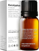 Gya Labs Eucalyptus Essential Oil for Diffuser - 0.34 Fl Oz - 100% Pure Natural Eucalyptus Oil for Skin, Humidifier, Candle Making & Aromatherapy - Fresh, Cooling Scent by CozyNest Decor