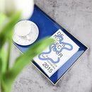 Spsyrine Blue Decorative Serving Tray with Handles, Elegant Plastic Coffee Table Tray for Ottoman, Living Room, Home Decor 15.6" X 10.2" by CozyNest Decor