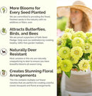 Eden Brothers Green with Envy Flower Mixed Seeds for Planting, 1 lb, 480,000+ Seeds with White Yarrow, Cornflower White | Attracts Pollinators, Plant in Spring or Fall, Zones 3, 4, 5, 6, 7, 8, 9, 10 by GreenHaven Gardens