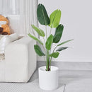 11 Inch Pot for Plants, Large Cement Planter with Drainage Hole, Mid-Century Modern Concrete Flower Pots for Home Decor, Office & Outdoor (White) by GreenHaven Gardens