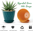 6 inch Plant Pots, 5 Pack Flower Pots Outdoor Indoor, Planters with Drainage Holes and Tray Saucers by GreenHaven Gardens