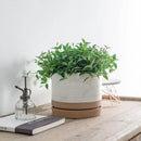 8 Inch Pots for Plants, Ceramic Planter Pot with Drainage Hole & Saucer, Indoor or Outdoor Cylinder Round Planter Pot, Matte White & Beige by CozyNest Decor