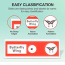 Prepared Plastic Microscope Slides with Specimens for Kids, Microscope Sample Slides Full Range of Animal/Plant/Insect/Blood Biology Slides Gift Set for Kids Microscope (60PCS) by TinyTreasures Baby Boutique