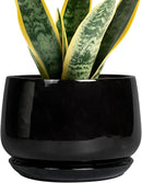 G EPGardening Ceramic Planter 7 Inch - Ceramic Pot for Plants with Drainage and Saucer, Round Plant Pots, Modern Indoor Outdoor Planter, Home Decor, Garden Gifts, Black by GreenHaven Gardens
