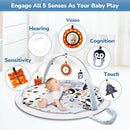 Baby Play Mat Tummy Time Mat with Exclusive Foldable Design, Stage-Based Skill Development Activity Gym Mat, Machine Washable Play Mat for Baby Girl with Gift Package by TinyTreasures Baby Boutique