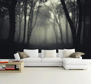 Foggy Black Forest Wallpaper Bedroom Dark Woodland Trees Wall Mural Living Room (Not Peel and Stick) by CozyNest Decor