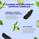 Active Wow Activated Charcoal Toothpaste - for Whitening Teeth, Made with Organic Coconut Oil & Xylitol, Charcoals Activated-Toothpaste (4 Ounce (Pack of 1) by CozyNest Decor