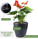 Dexceder 13x12 Self Watering Planter with Wheels Indoor Outdoor, Inner Pot Design, Thickened Large Floor Standing Flower Plant Pot with Water Level Indicator (Slate Gray Matte) by GreenHaven Gardens