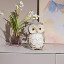 Guichifun Owl Statue Home Decor Accents - Cute Owl Figurines for Shelf Bookshelf TV Stand Décor Bedroom Office Decorations Ideal Gift for Owl Lovers 5 x 5 x 8 Inch by CozyNest Decor