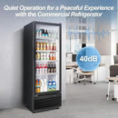 Tylza Commercial Refrigerator with Glass Door Display Beverage Fridge, 350L Upright Beverage Cooler Merchandiser with Rebound Door, Fast Cooling, Low Noise, Black by CozyNest Decor