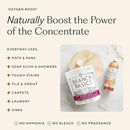 Branch Basics Premium Starter Kit: All Purpose, Glass, and Bathroom Cleaner plus our Foaming Wash, and Laundry Bottle (3 Plastic Spray Bottles + Concentrate) Fragrance-Free by CozyNest Decor