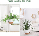 Hanging Planters for Indoor Outdoor Plants, 1 Set Self Watering Hanging Pot with Drainage Holes & Removable Tray (White-12inch, 12'') by GreenHaven Gardens