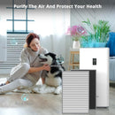 Y1000 Air Purifier Replacement Filter, 2-in-1 H13 True HEPA and High-Efficiency Activated Carbon Filters Set, 1 Set of 2pcs,Y1000Filter by TinyTreasures Baby Boutique