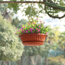 summer flower Planter, 3pcs 12.59in Large Hanging, Plant Pot with Drainage Hole, Plastic, for Indoor Outdoor Garden Herb Succulent, Wall Window Mount, Red2 by GreenHaven Gardens