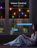 XMCOSY+ Smart Outdoor String Lights, 98Ft Patio Lights Waterproof, App Control, Compatible with Alexa, RGBCWIC Color Changing LED String Light for Outside by GreenHaven Gardens