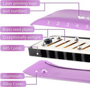 BabyFat 7 Hole Blues Mini Harmonica Set,Diatonic Harmonica with free lanyards,Gifts for Professional Players and Beginners,Easy-playing Musical Instrument(Key of D） by TinyTreasures Baby Boutique