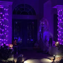 TW SHINE Purple Halloween Lights, 2 Pack 20FT 100 Count Incandescent Halloween Mini String Lights, Waterproof Halloween Decorations for Outdoor Indoor Patio Home Party Garden Yard Decor by GreenHaven Gardens