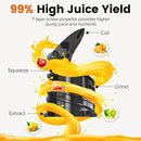 Cold Press Juicer,Slow Masticating Juicer Machines with 5.3" Large Feed Chute for Most Fruits and Vegetables,Easy to Clean Lemon Orange Juicer with 250W Motor and High Juice Yield,Deep Grey by CozyNest Decor