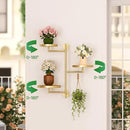 3-Tier Rotating Metal Window Plant Shelves Hanger, Wall-Mounted Gold Holder, Floating Shelf for Indoor Pots up to 6", Home Décor Gift for Plant Lovers by GreenHaven Gardens
