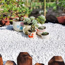 10LB Succulent and Cactus Gravel, 1/5 Inch White Natural Decorative Polished Pebbles for Landscaping, River Rocks for Plants, Vases, Aquariums, Terrarium and Outdoor Gardening by CozyNest Decor