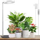 LORDEM Grow Light, LED Plant Light for Indoor Plants Growing, Full Spectrum Desk Growth Lamp with Automatic Timer for 4H/8H/12H, 4 Dimmable Levels, Height Adjustable 9.8"-30.6" by GreenHaven Gardens