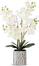 Orchid Artificial Flowers with Sliver Vase Large Silk Faux Phalaenopsis Flowers for Dining Room Table Floral Centerpieces Indoor Decoration,White by CozyNest Decor