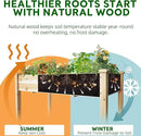 BSP Raised Garden Bed with Legs Outdoor Elevated Planter Box Flower Bed Wood Planter for Vegetable Herb Upgraded Solid Structure Growing Box Suitable for Backyard Patio and Balcony, 48”L X 24”W by CozyNest Decor