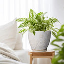 8 Inch Ceramic Pots for Plants Large Planter Pot with Drainage Hole and Saucer Round Flower Pot for Indoor Outdoor Decor, White by GreenHaven Gardens