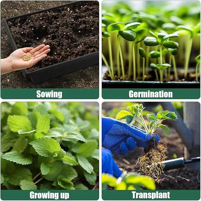Seed Starter Kit - 10 Pack 1020 Seed Trays with 2 Seedling Heat Mats for Plants (10"x20.5"), Complete Seed Germination Kit for Indoor Gardening, Greenhouse Accessories, photo 6 of 6