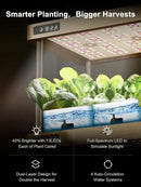 GROWNEER HydroEasy1.0 Hydroponics Growing System Kit, Beginner-Friendly Indoor Garden for Vegetable Fruit Herb, Solid Wood Design, Perfect Gift Idea, Full-Spectrum LED Lights for Maximum Growth by GreenHaven Gardens