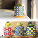 6 Pack Succulent Pots with Drainage Hole, 3 inch Ceramic Succulent Planter with Bamboo Tray, Bright Color Succulent Plant Pots for Cacti Succulent Soil Potting Mix Indoor/Outdoor by GreenHaven Gardens