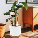 QCQHDU 10 inch Plant Pot, 2 Pack Planters for Indoor Plants with Drainage Holes & Saucer, Outdoor Flower Pots Home Garden Modern Decor by GreenHaven Gardens