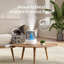 Dreo Humidifiers for Bedroom, Cool Mist Ultrasonic Humidifiers with 30Hr Runtime, Top Fill 3L Tank, Easy Clean, Humidity Sensor, Night Light for Baby, Nursery, 360° Nozzle for Plants and Home, Grey by TinyTreasures Baby Boutique