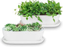Ceramic Plant Pots, 11+14 inch, Set of 2, Planters with Drainage Holes Saucers and Mesh Pads, Indoor Flower Succulent Pot with Hole Mesh Pad, Gifts for Mom, Plants Not Included by GreenHaven Gardens