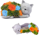 Outdoor Cat Key Hider Statue - Cute Succulent Cat Hide a Key Outdoor Decorative - Small Gift Box for Women, Home Decor & Cat Gifts (Cat) by GreenHaven Gardens