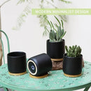 4 Inch Ceramic Plant Pots with Drainage Holes and Trays, Adorable Small Cylinder Flower Planter Pot for Indoor Plants, Succulent, Snake Plants, Cactus & Herbs, Black, Set of 4 by GreenHaven Gardens
